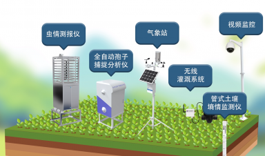 智慧農(nóng)業(yè)創(chuàng)新方案，賦能農(nóng)業(yè)現(xiàn)代化轉(zhuǎn)型新征程